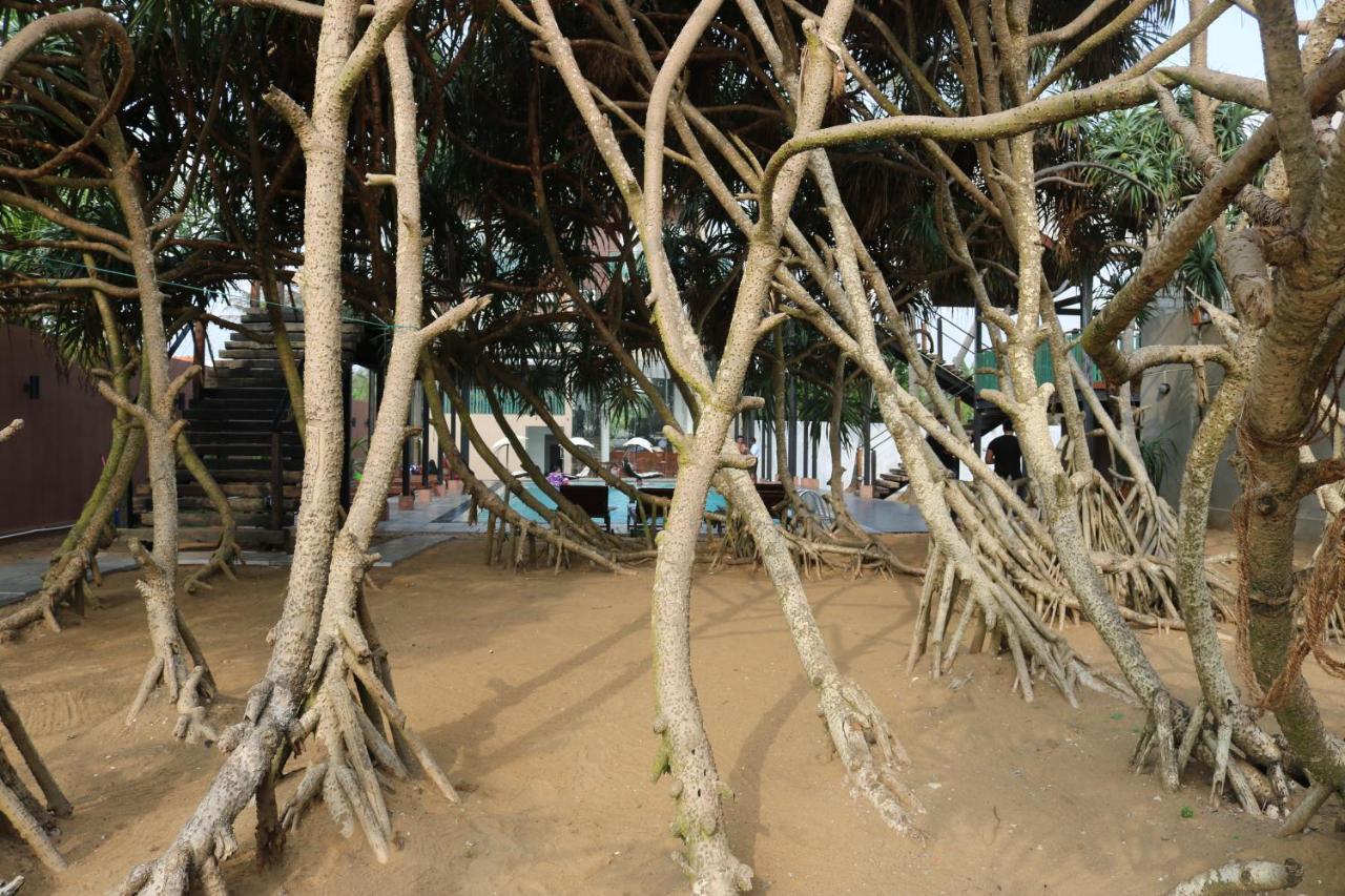 Saprin Beach Resort Uswetakeiyawa Ngoại thất bức ảnh